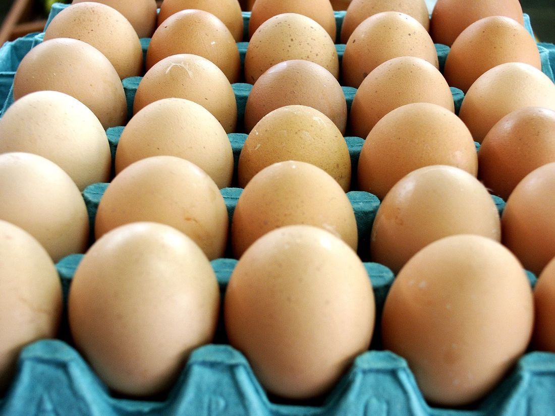 Trays of fresh brown eggs