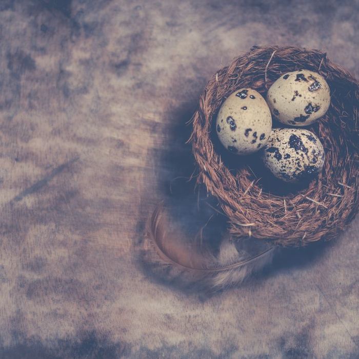 Quail eggs